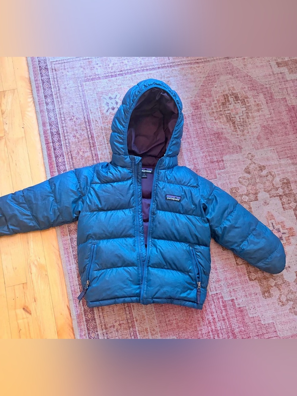 Patagonia Hi Loft Down Sweater